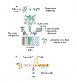 Fig1. a) FACS: the cells studied are labelled with an antibody carrying a fluorochrome. The cells are individualised into droplets that pass in front of a multispectral detector for identification and phenotyping, then are sorted according to the charge they acquire through an electric field. b) Micro fluidic: system of micro channels to encapsulate in oil microdroplets containing a GEM, a cell and all the reagents for the extraction and amplification of nucleotides