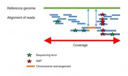 Fig2 : Alignment of reads with a reference sequence for the detection of genetic variations